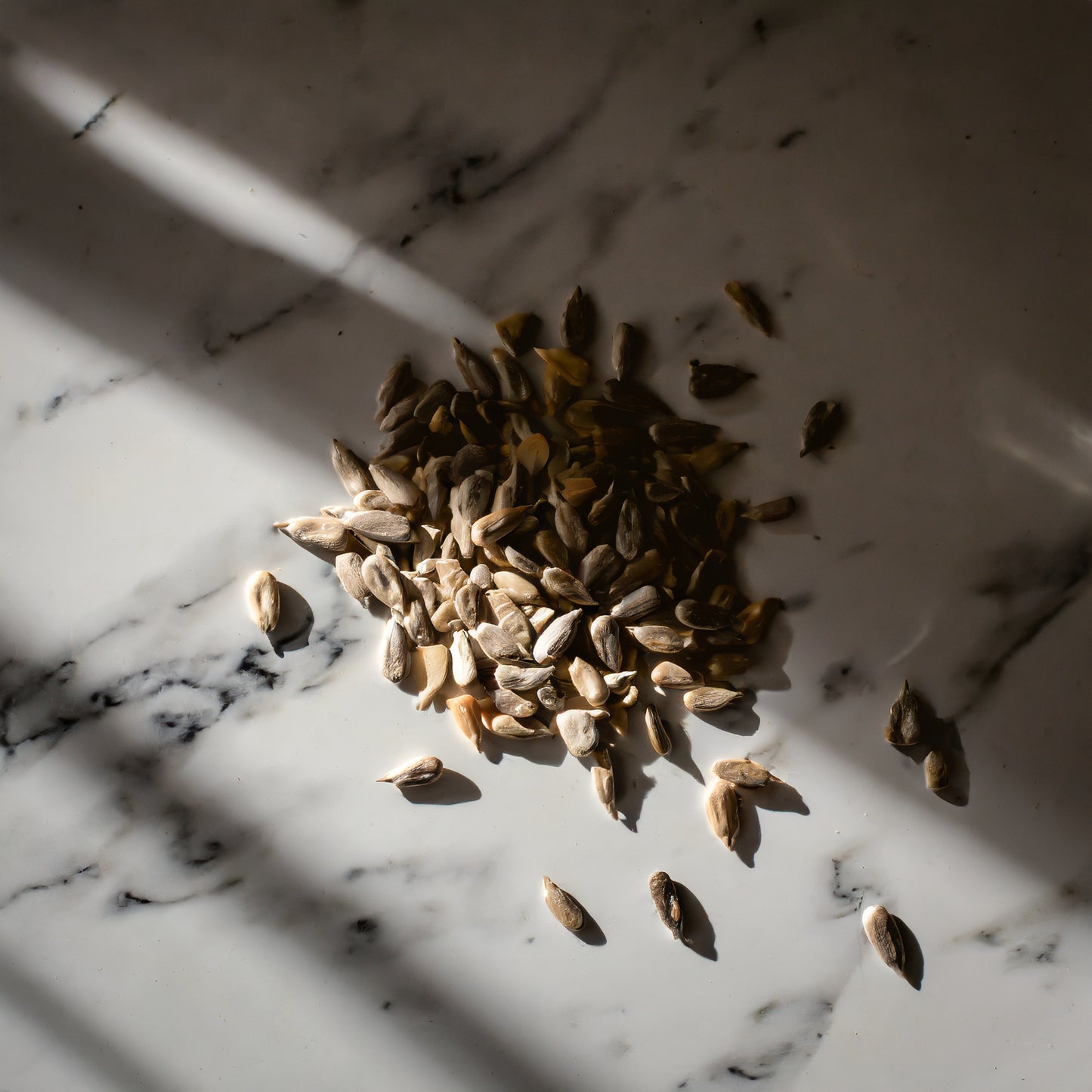 Organic Raw Sunflower Seeds 1kg