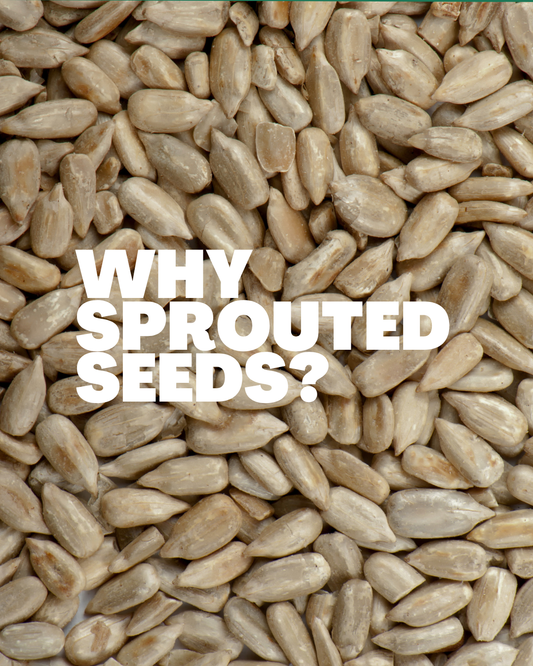 Nutritional News: Sprouted Seeds, What Does the Science Tell Us About Their Nutritional Value?