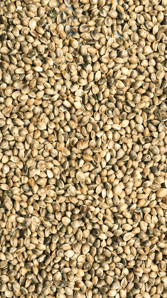 Meet the Ingredient: Hemp, A Short History of One of the World's Oldest Crops