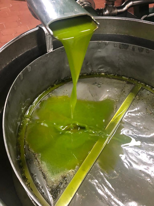 Meet the Ingredient: What Does Early Harvest Mean for Olive Oil?