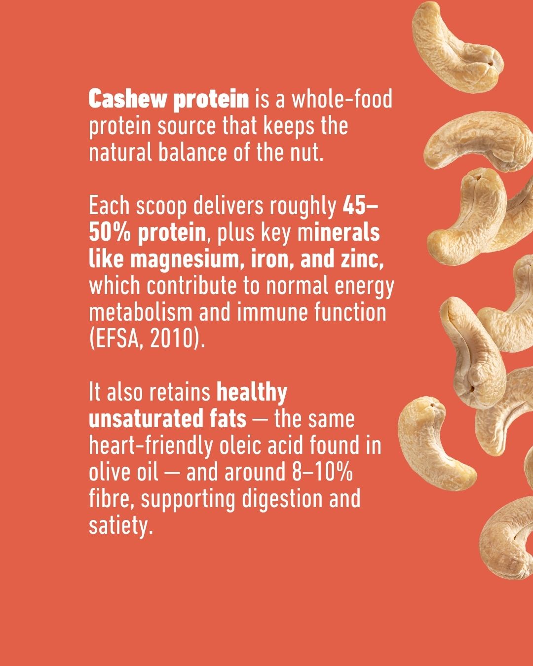 Organic Cashew Nut Protein Powder 300g