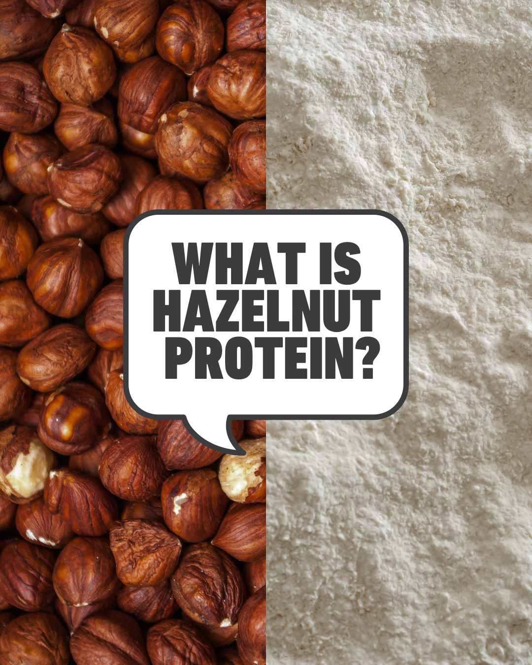 Organic Hazelnut Protein Powder 300g