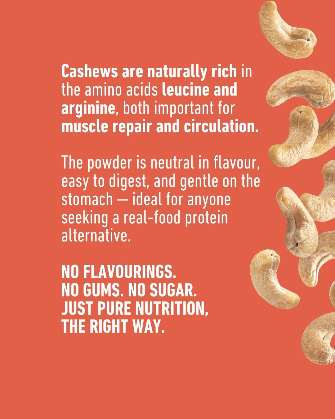 Organic Cashew Nut Protein Powder 300g