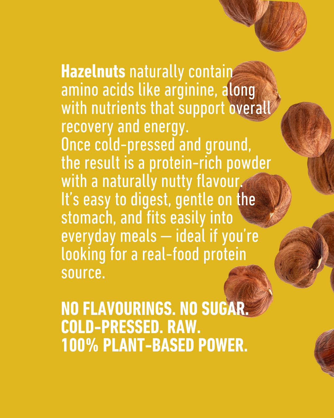 Organic Hazelnut Protein Powder 300g