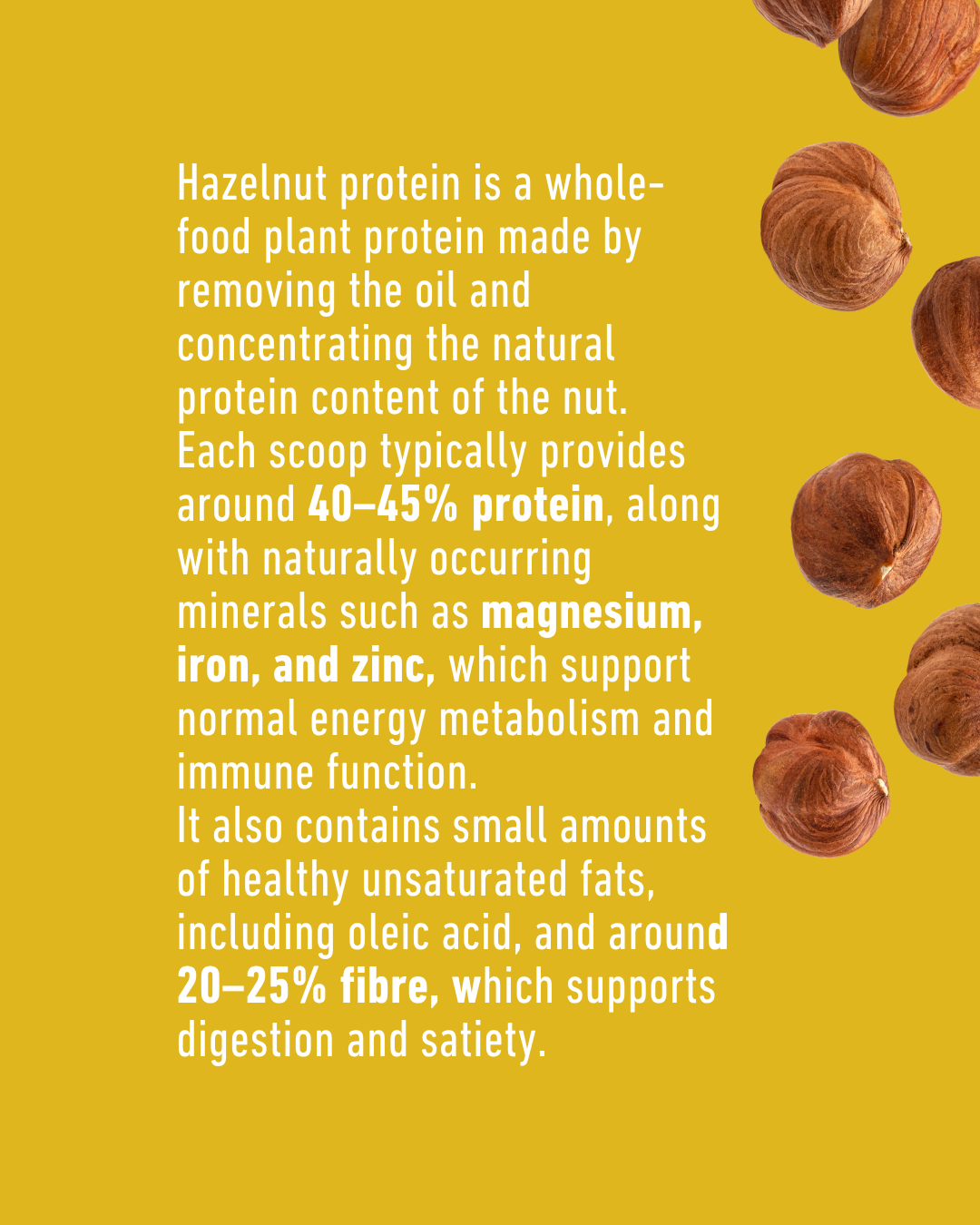 Organic Hazelnut Protein Powder 300g