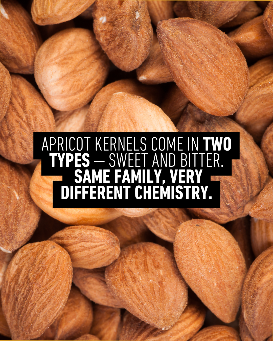 Organic Apricot Kernel Butter 200g