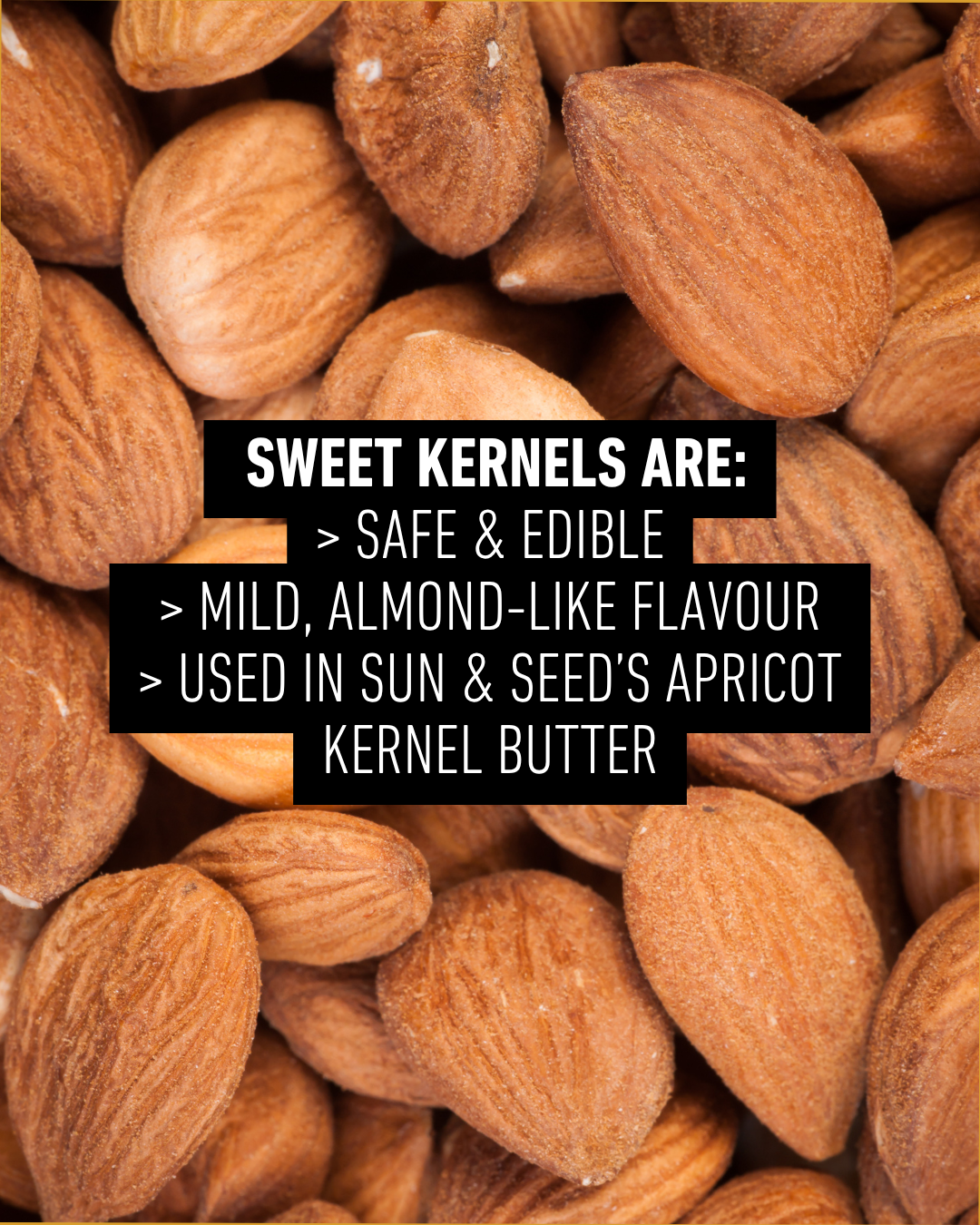 Organic Apricot Kernel Butter 200g