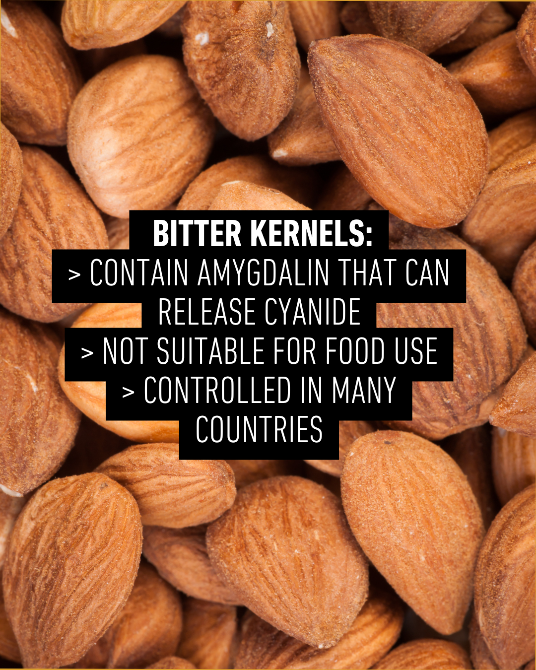 Organic Apricot Kernel Butter 200g