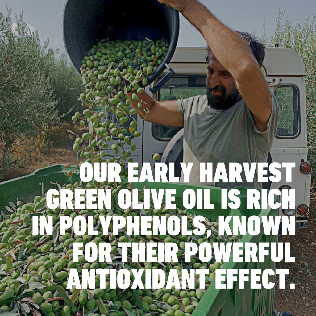 Premium Early Harvest Extra Virgin Olive Oil 500ml  - Monocultivar Cold Pressed Organic