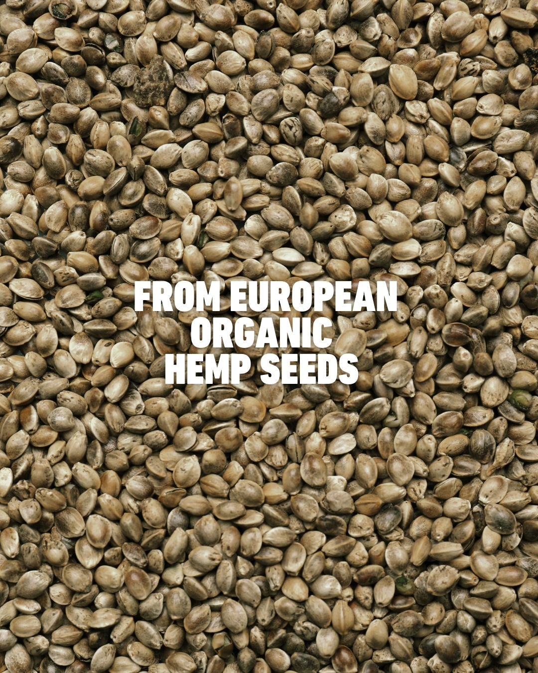 Organic Hemp Seed Protein Powder 300g