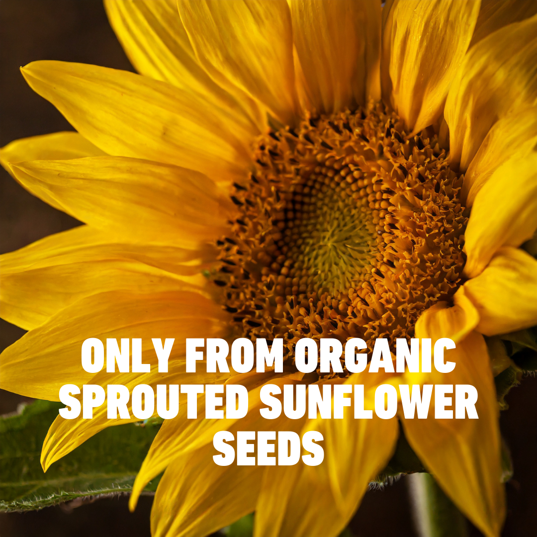 Sprouted & Raw Organic Sunflower Seeds 250g