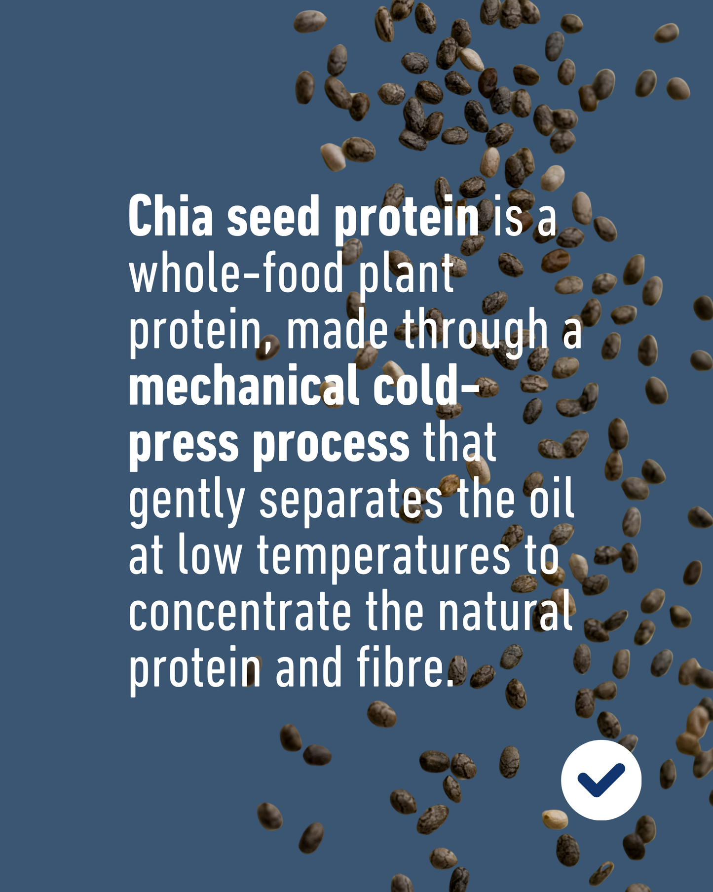 Organic Chia Seed Protein Powder 300g