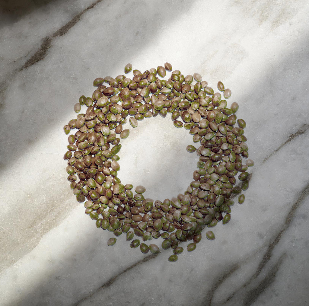 Organic Whole Hemp Seeds 1kg