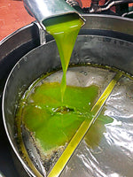 Load image into Gallery viewer, Premium Unfiltered Early Harvest Extra Virgin Olive Oil 500ml  - Monocultivar Cold Pressed Organic
